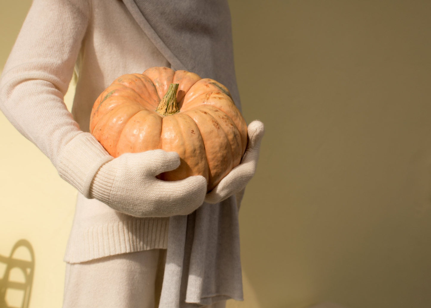 The Cashmere Mittens
