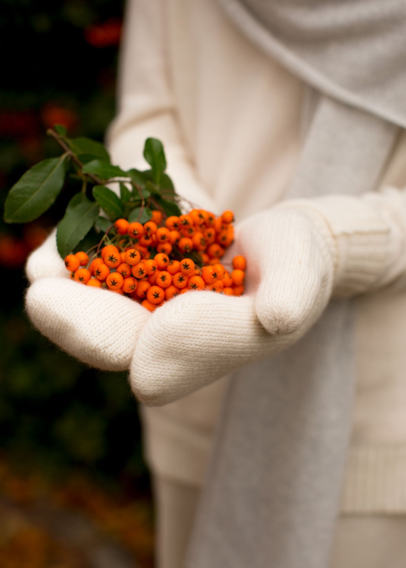 The Cashmere Mittens